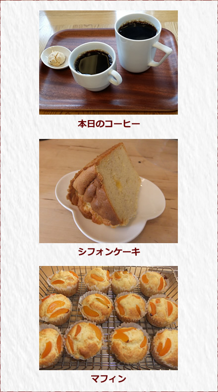 本日のコーヒー、シフォンケーキ、マフィン